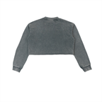 Snow Washed Raw Edge Cropped Sweatshirt