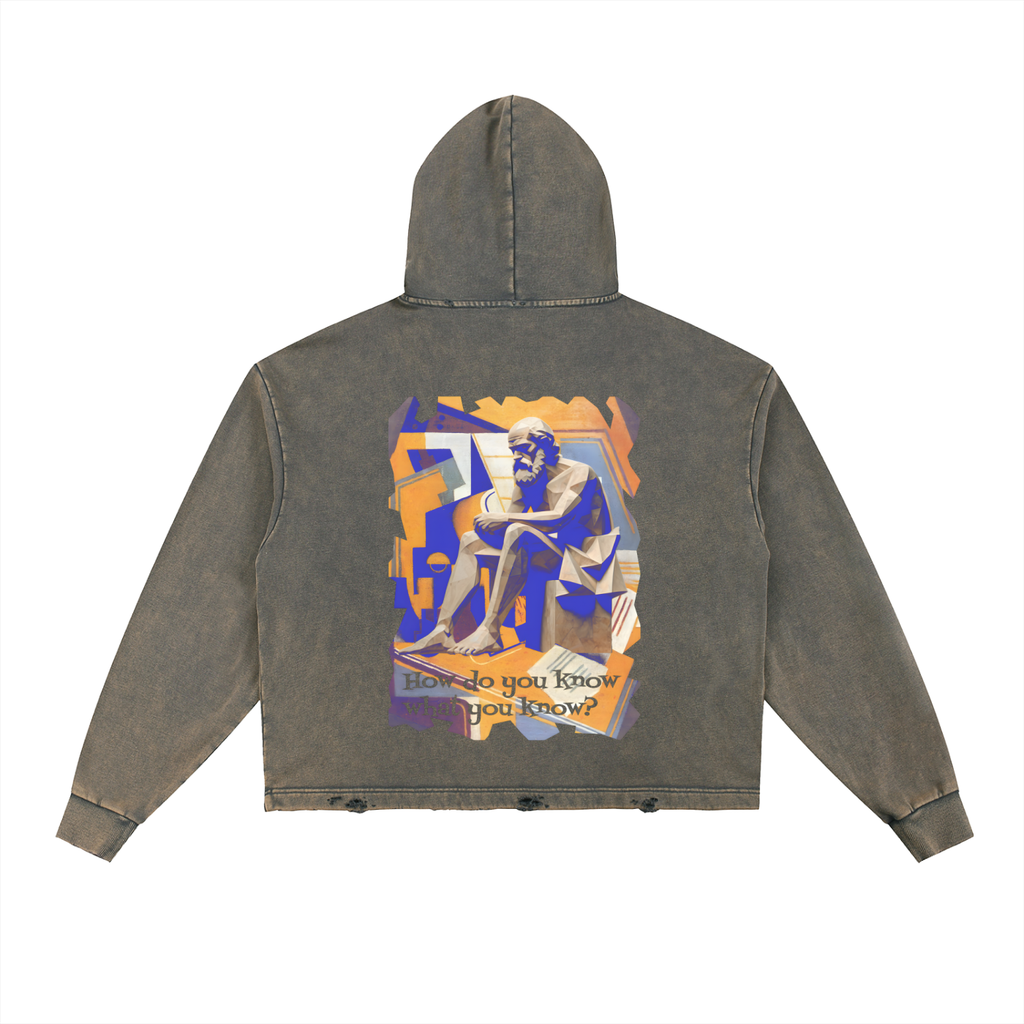 Vintage Washed Frayed-Hem Hoodie