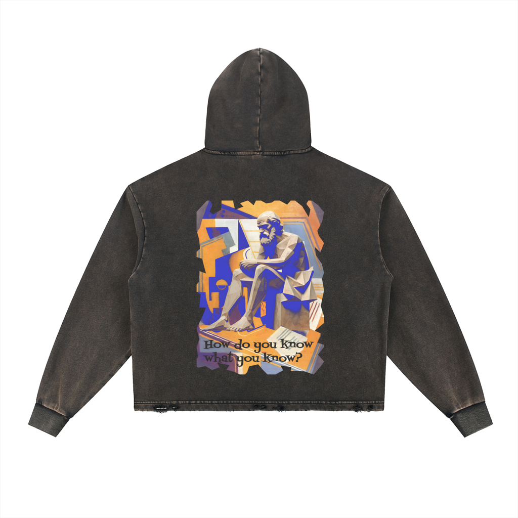 Vintage Washed Frayed-Hem Hoodie